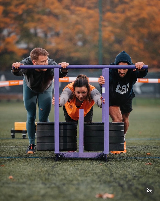 (DESTOCKAGE) Sled Push / Pull