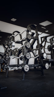Barre Curl 10 à 40kg avec support