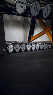 Haltères chromées 2 à 50kg avec rangement
