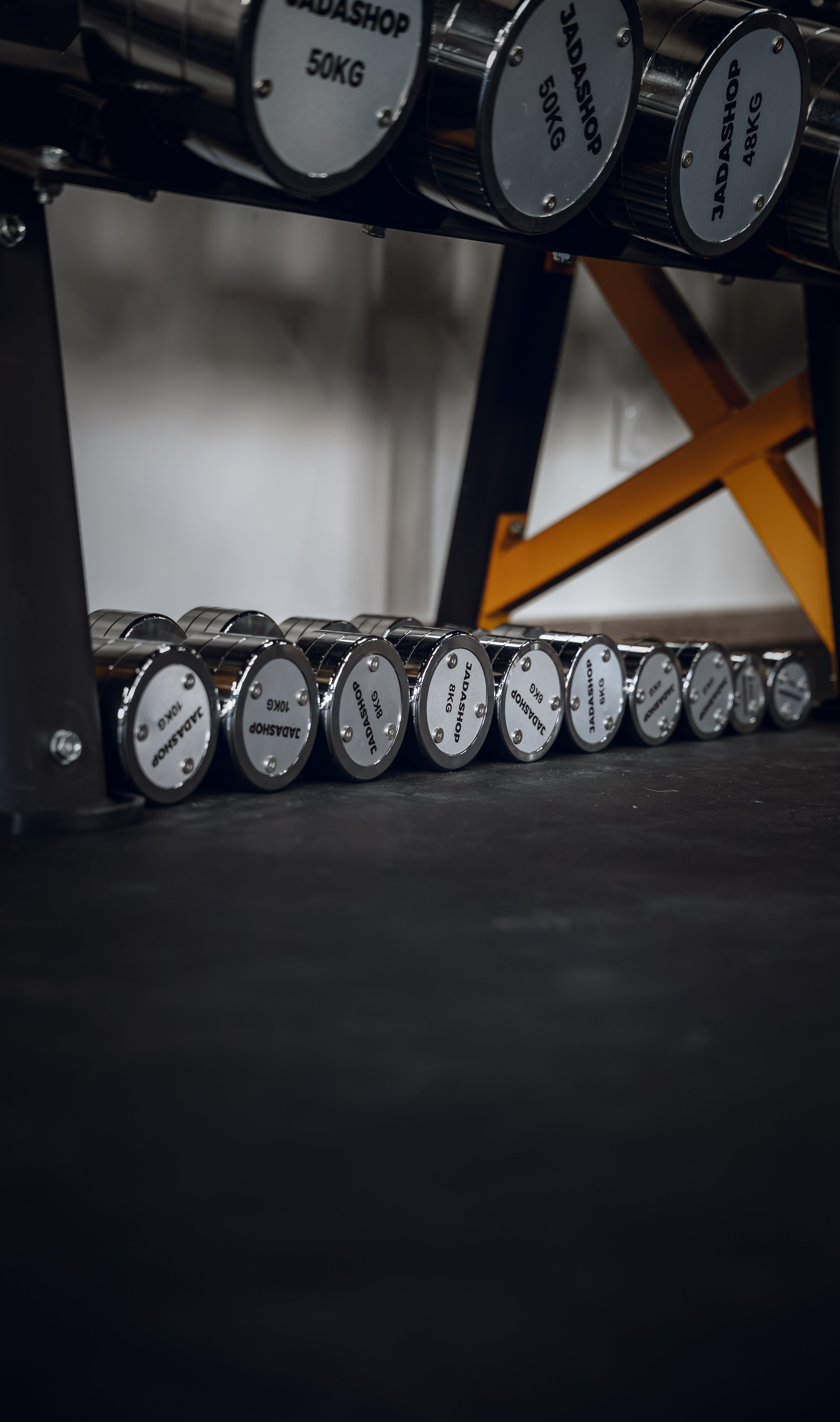 Haltères chromées 2 à 50kg avec rangement