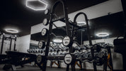 Barre Curl 10 à 40kg avec support