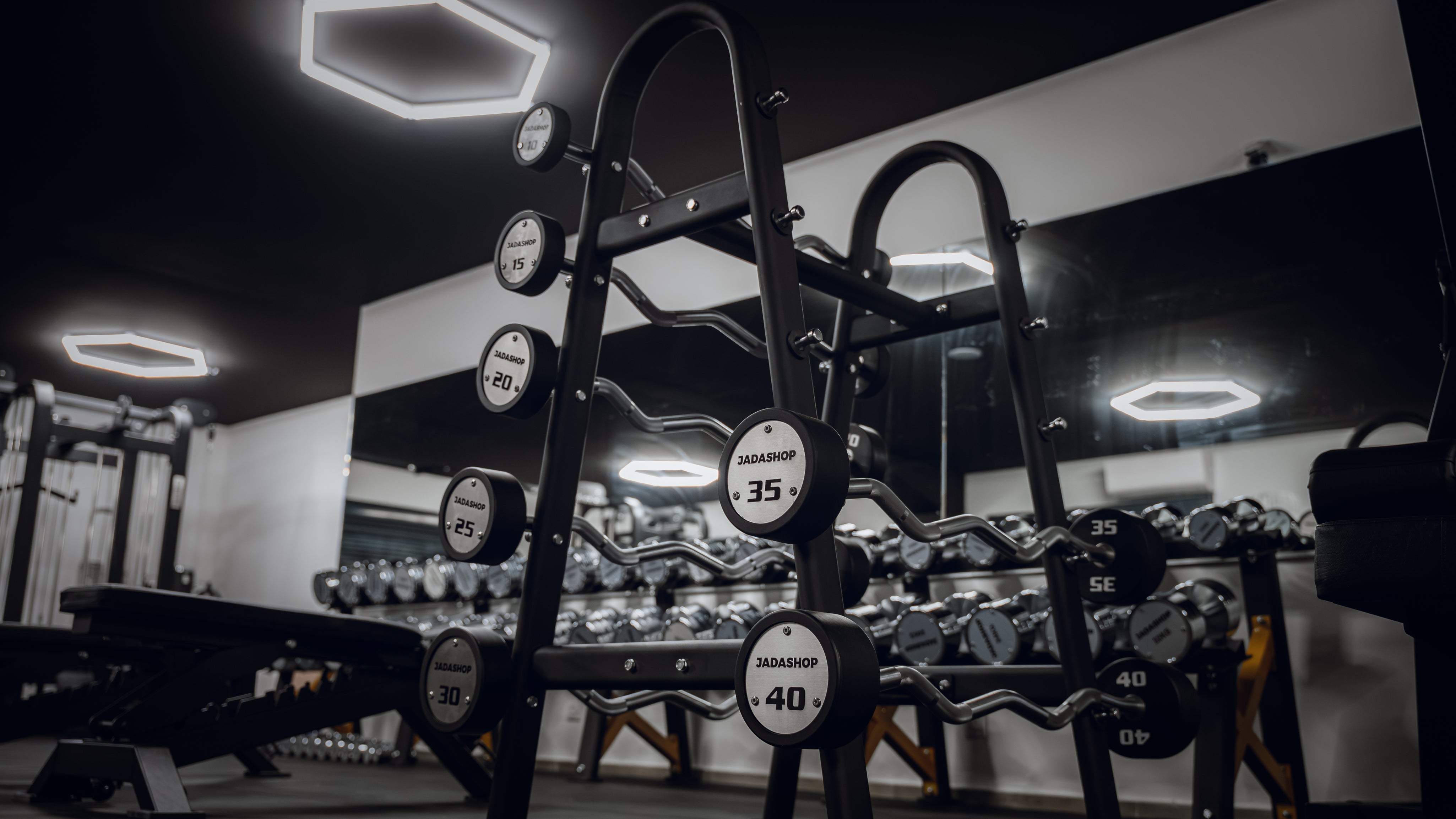 Barre Curl 10 à 40kg avec support