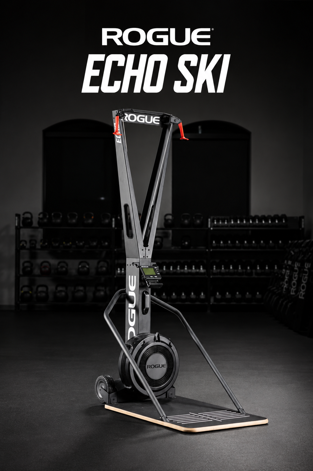 ECHO Ski by ROGUE
